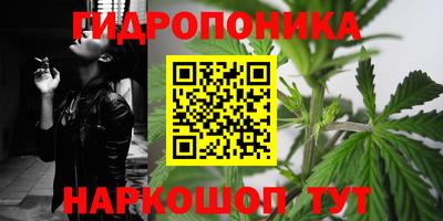 амф Дубна