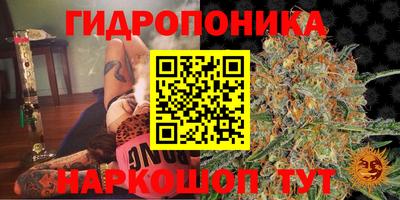 спиды Вышний Волочёк