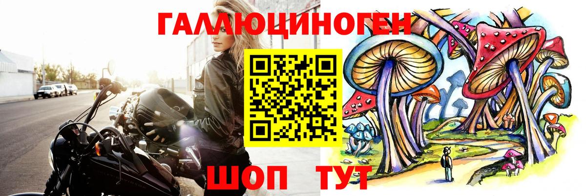 Псилоцибиновые грибы Psilocybine cubensis  Вход с VPN  Ликино-Дулёво  Галлюциногенные грибы мухоморы 